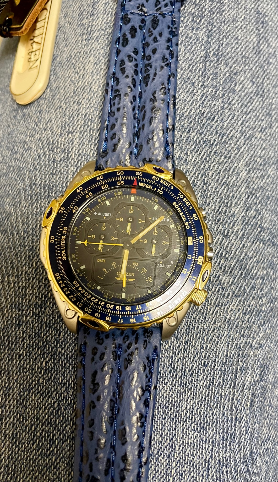 Citizen wingman promaster sale